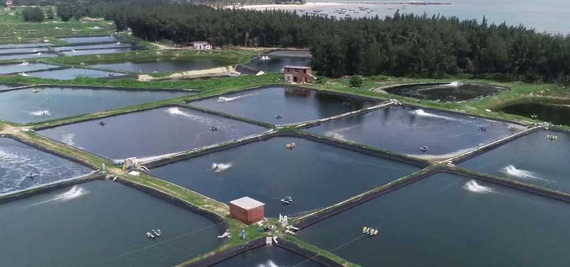 畜牧業(yè)應(yīng)用